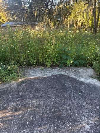 0.18 Acres of Residential Land for Sale in Ocala, Florida