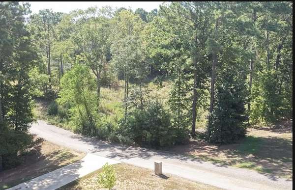 0.75 Acres of Residential Land for Sale in Diana, Texas