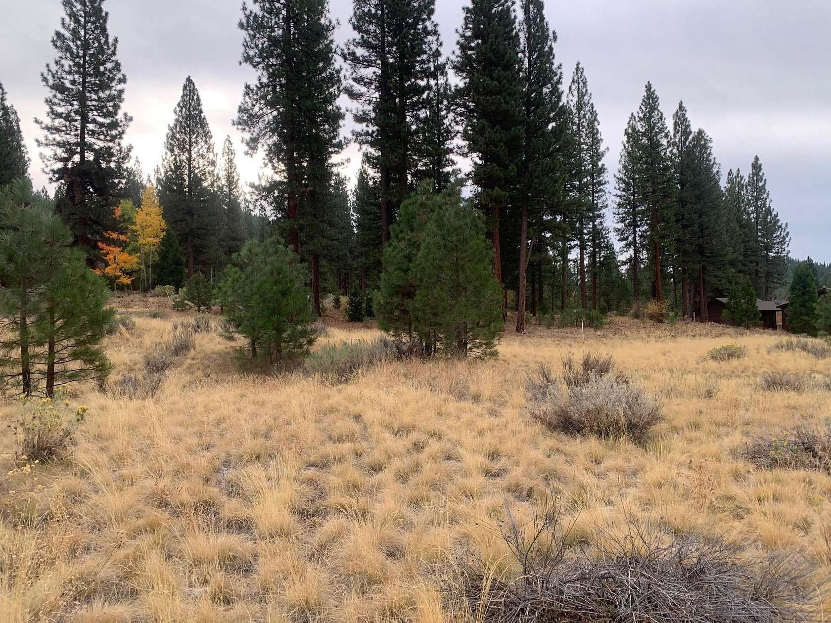 0.58 Acres of Residential Land for Sale in Portola, California