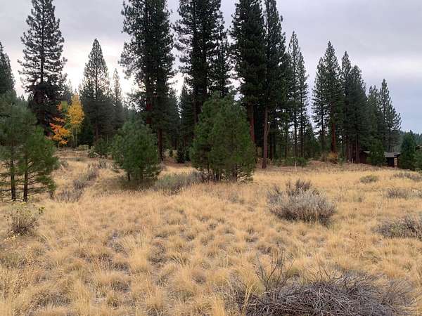 0.58 Acres of Residential Land for Sale in Portola, California