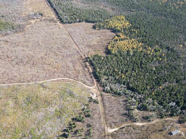 40 Acres of Recreational & Residential Land for Sale in Hermansville, Michigan