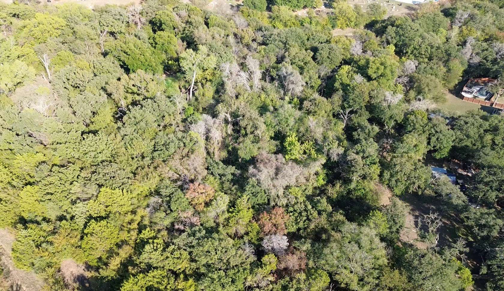 0.28 Acres of Residential Land for Sale in Lake Dallas, Texas