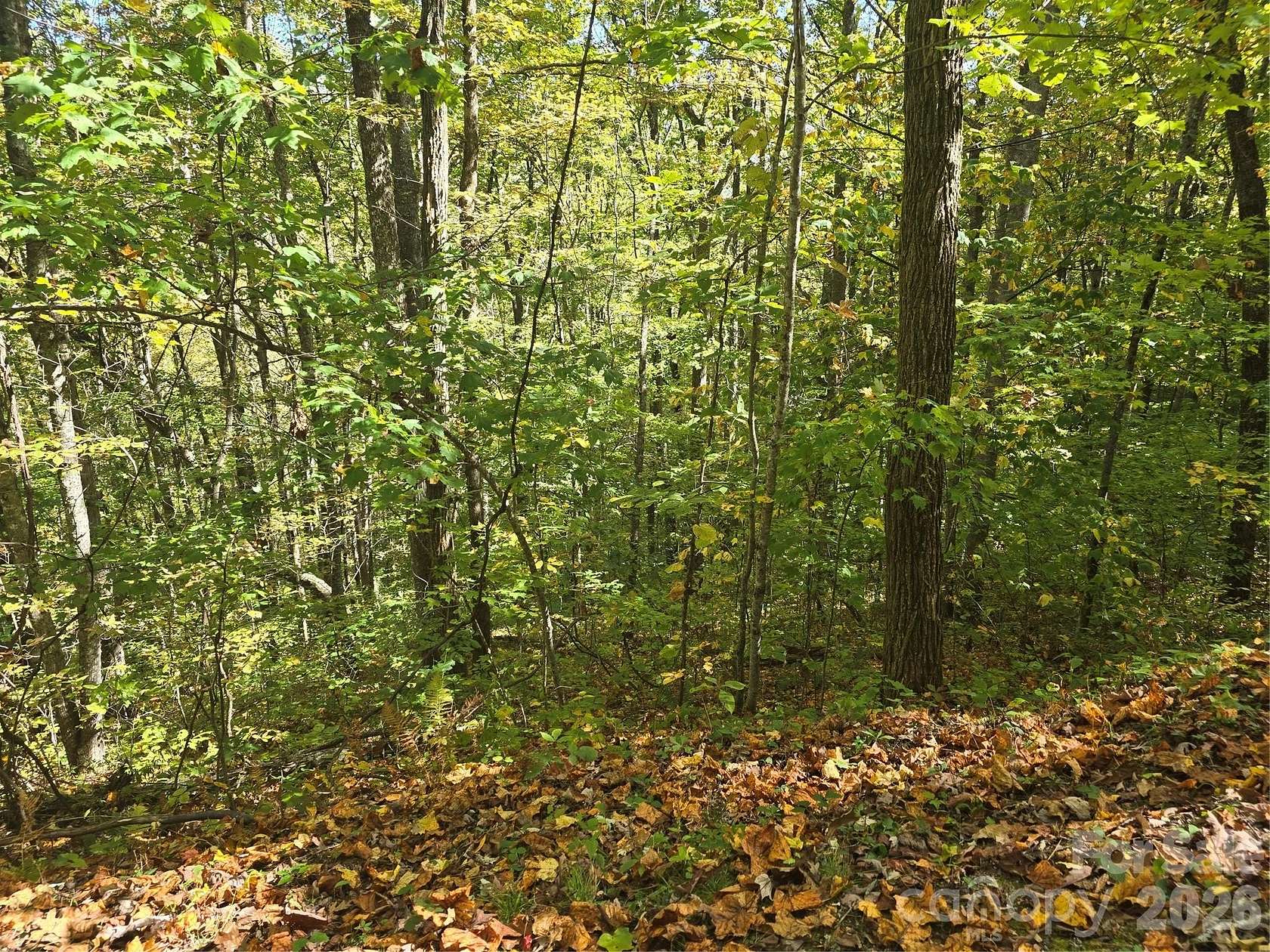 6.45 Acres of Residential Land for Sale in Sylva, North Carolina