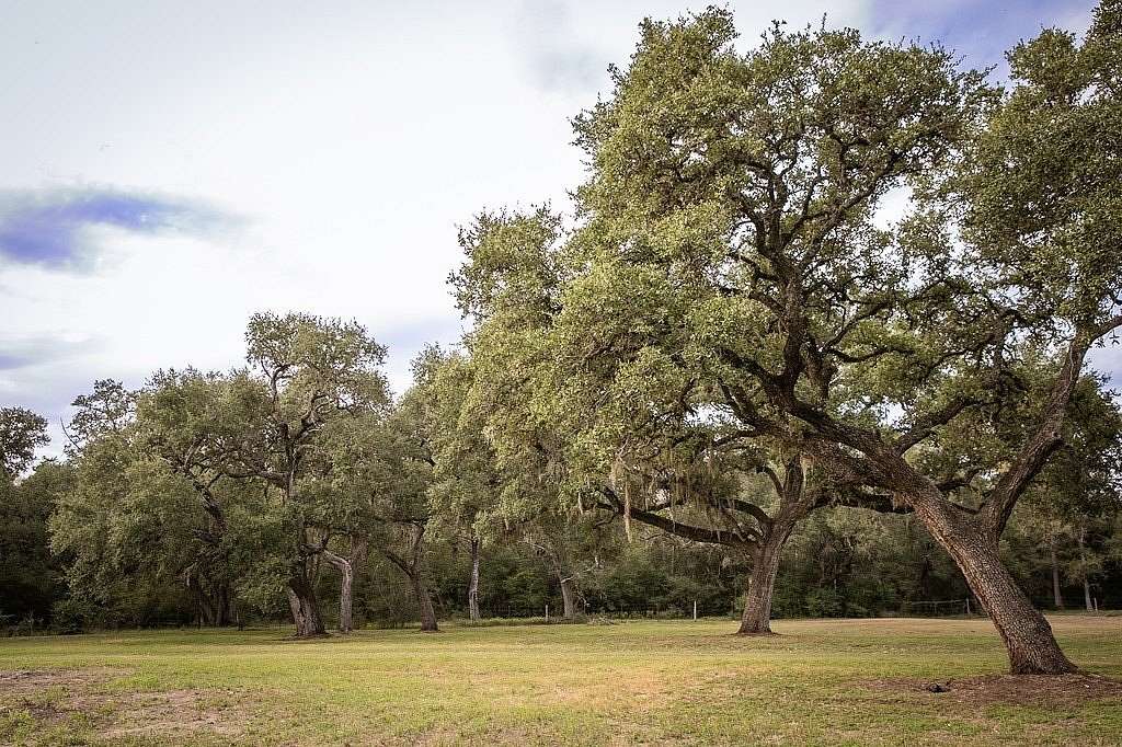 4.38 Acres of Mixed-Use Land for Sale in Burton, Texas