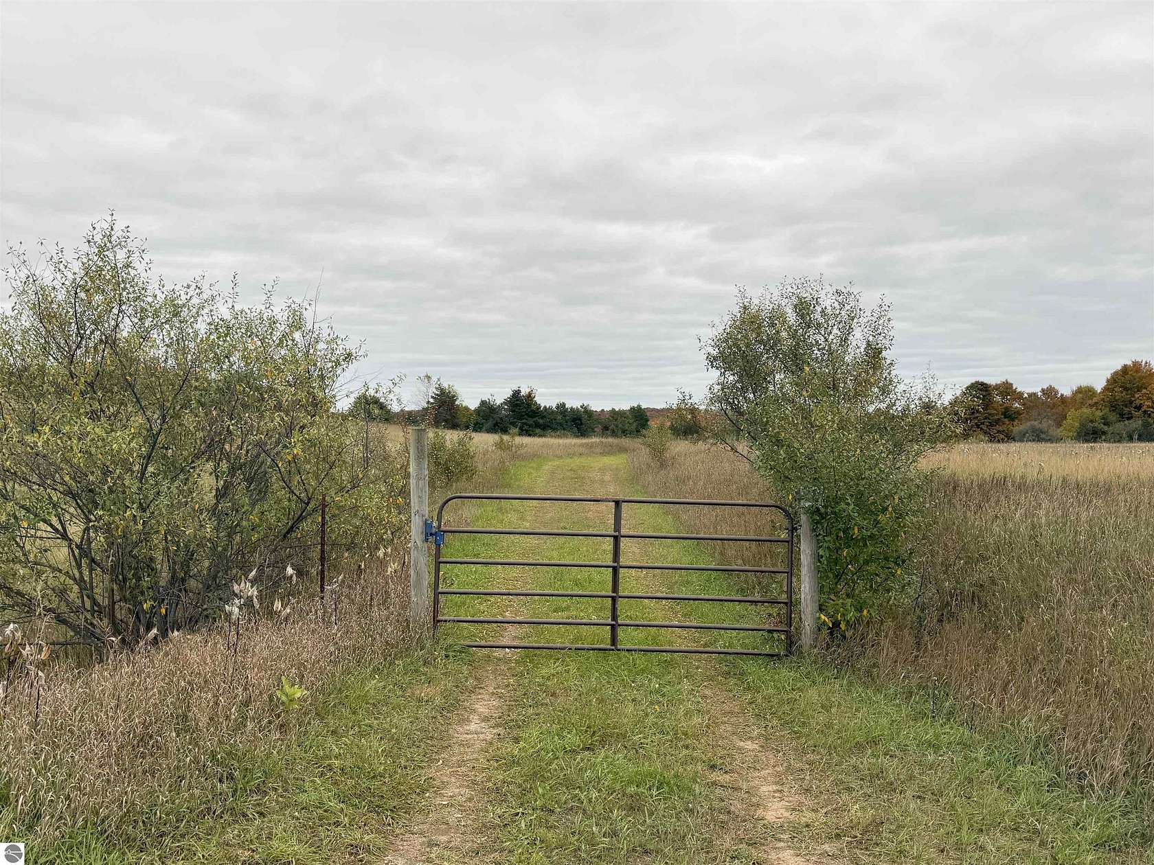 81.2 Acres of Land for Sale in Cedar, Michigan