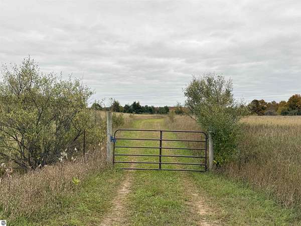 81.2 Acres of Land for Sale in Cedar, Michigan