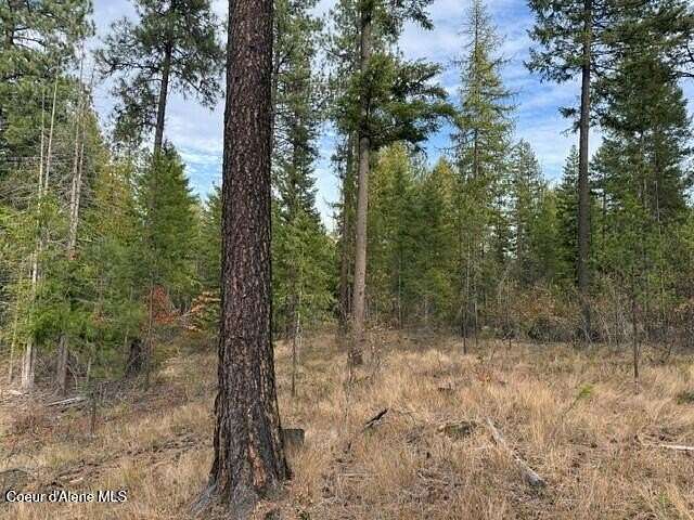 7.26 Acres of Land for Sale in Priest River, Idaho