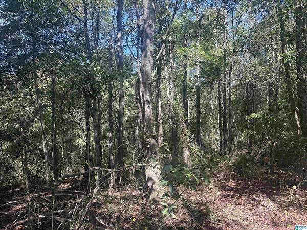 15 Acres of Recreational & Residential Land for Sale in Heflin, Alabama