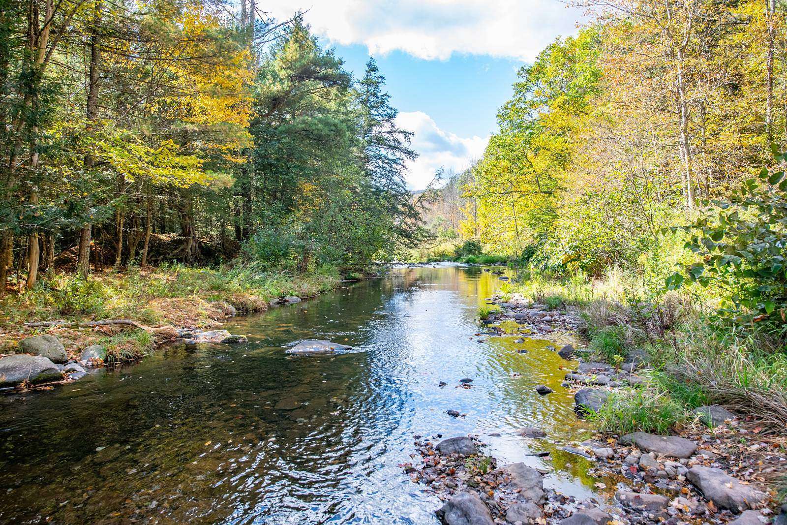 33.2 Acres of Recreational & Residential Land for Sale in Denver, New York