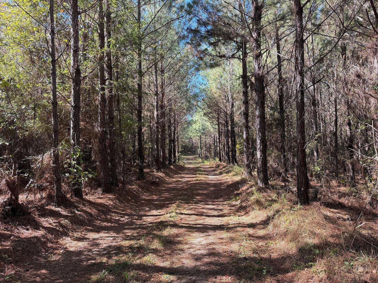 64 Acres of Recreational & Residential Land for Sale in Troy, Alabama