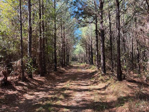 64 Acres of Recreational & Residential Land for Sale in Troy, Alabama