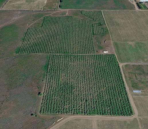 46 Acres of Agricultural & Residential Land for Sale in Burbank, Washington