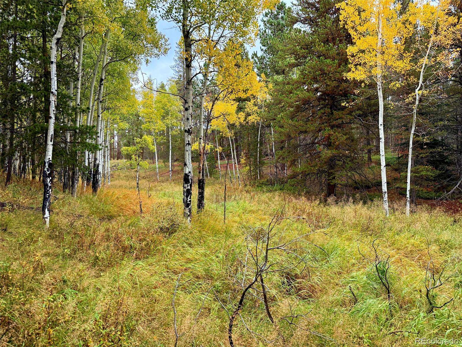 1 Acre of Residential Land for Sale in Conifer, Colorado