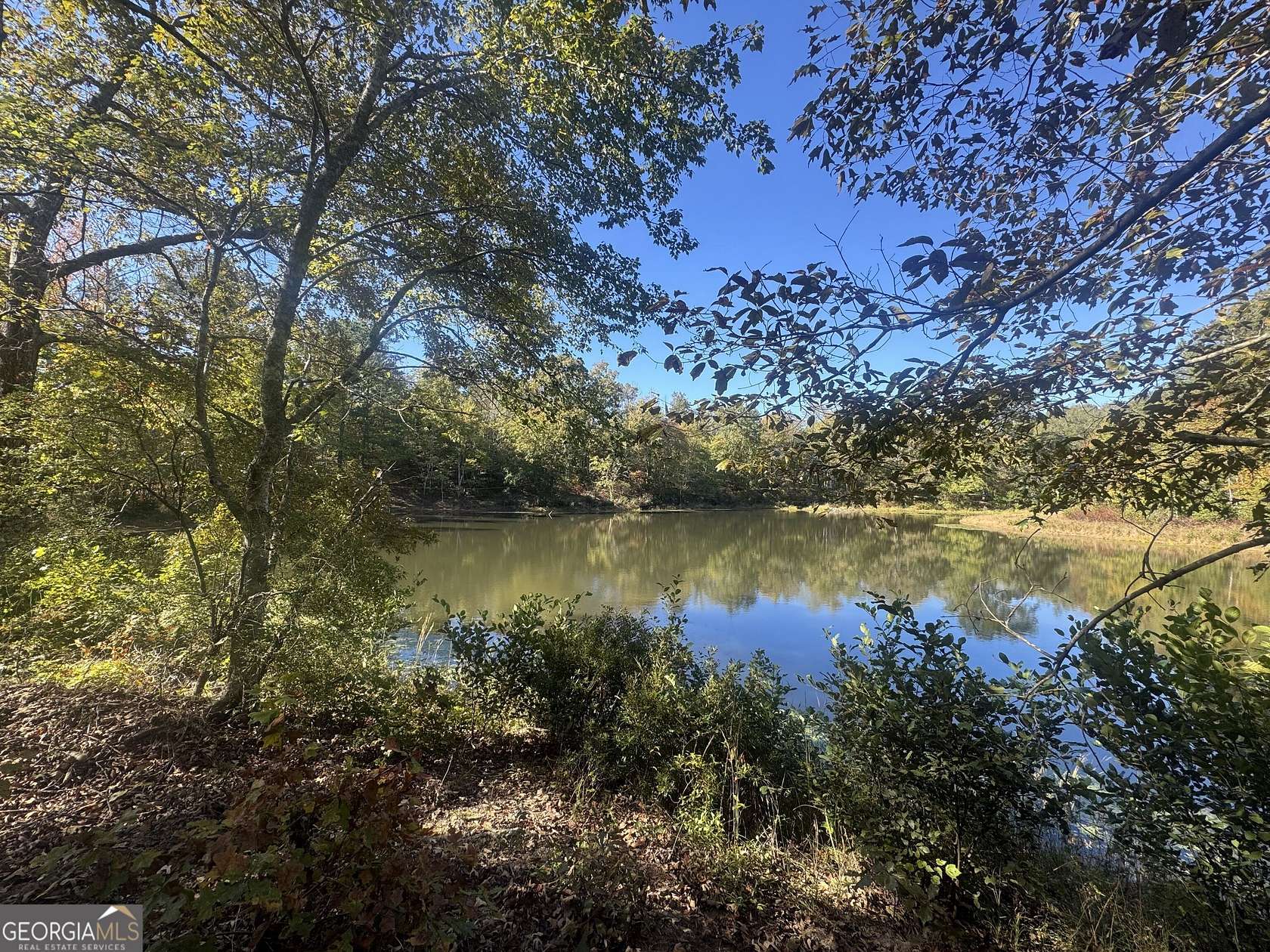 11.3 Acres of Recreational & Residential Land for Sale in Franklin, Georgia
