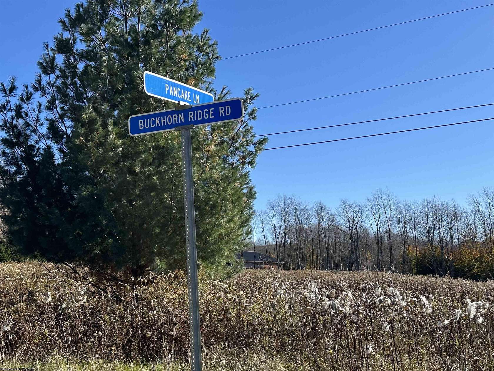 1.74 Acres of Residential Land for Sale in Davis, West Virginia