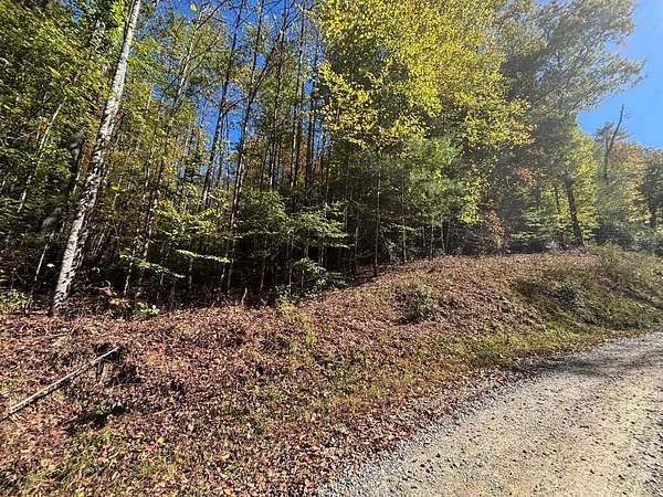 23 Acres of Land for Sale in Marble, North Carolina