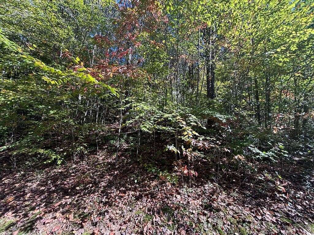 23.5 Acres of Land for Sale in Marble, North Carolina