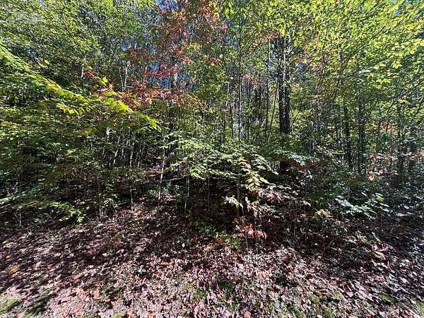 23.5 Acres of Land for Sale in Marble, North Carolina