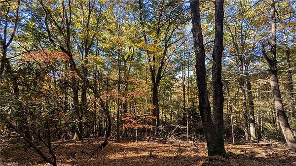 34 Acres of Recreational Land for Sale in Jefferson, North Carolina