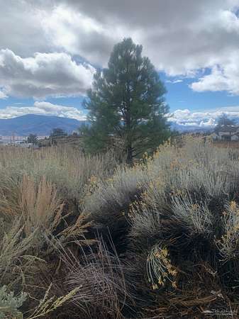 1 Acre of Residential Land for Sale in Tehachapi, California