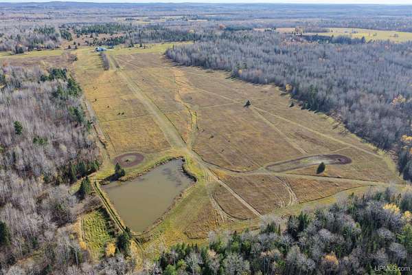 160 Acres of Land for Sale in Ewen, Michigan