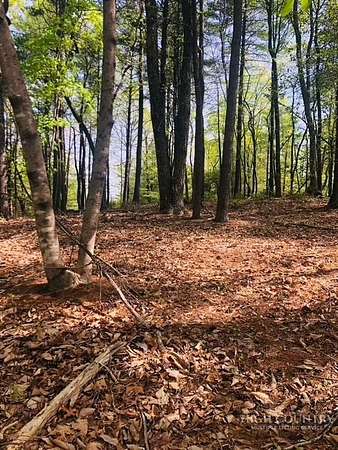 6.63 Acres of Land for Sale in Ferguson, North Carolina