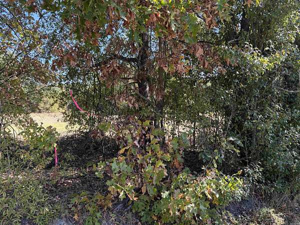 25.4 Acres of Land for Sale in Higginson, Arkansas
