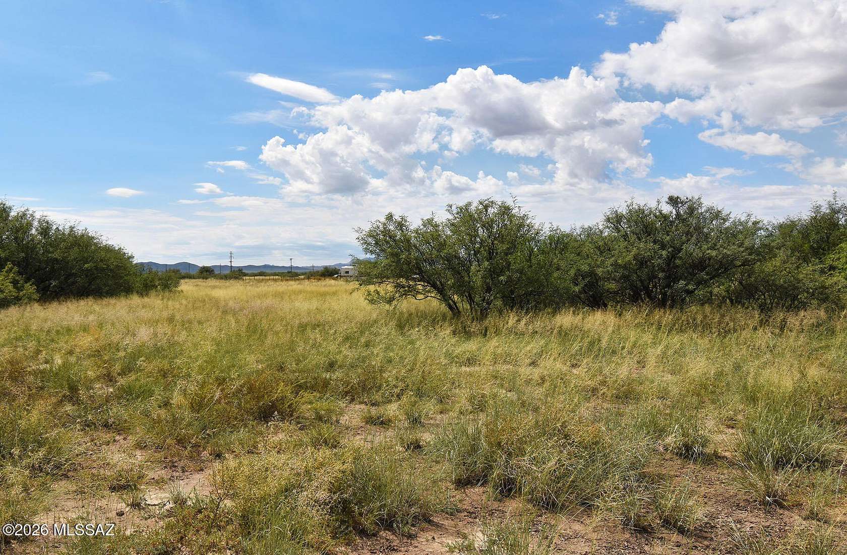 15 Acres of Land for Sale in Willcox, Arizona