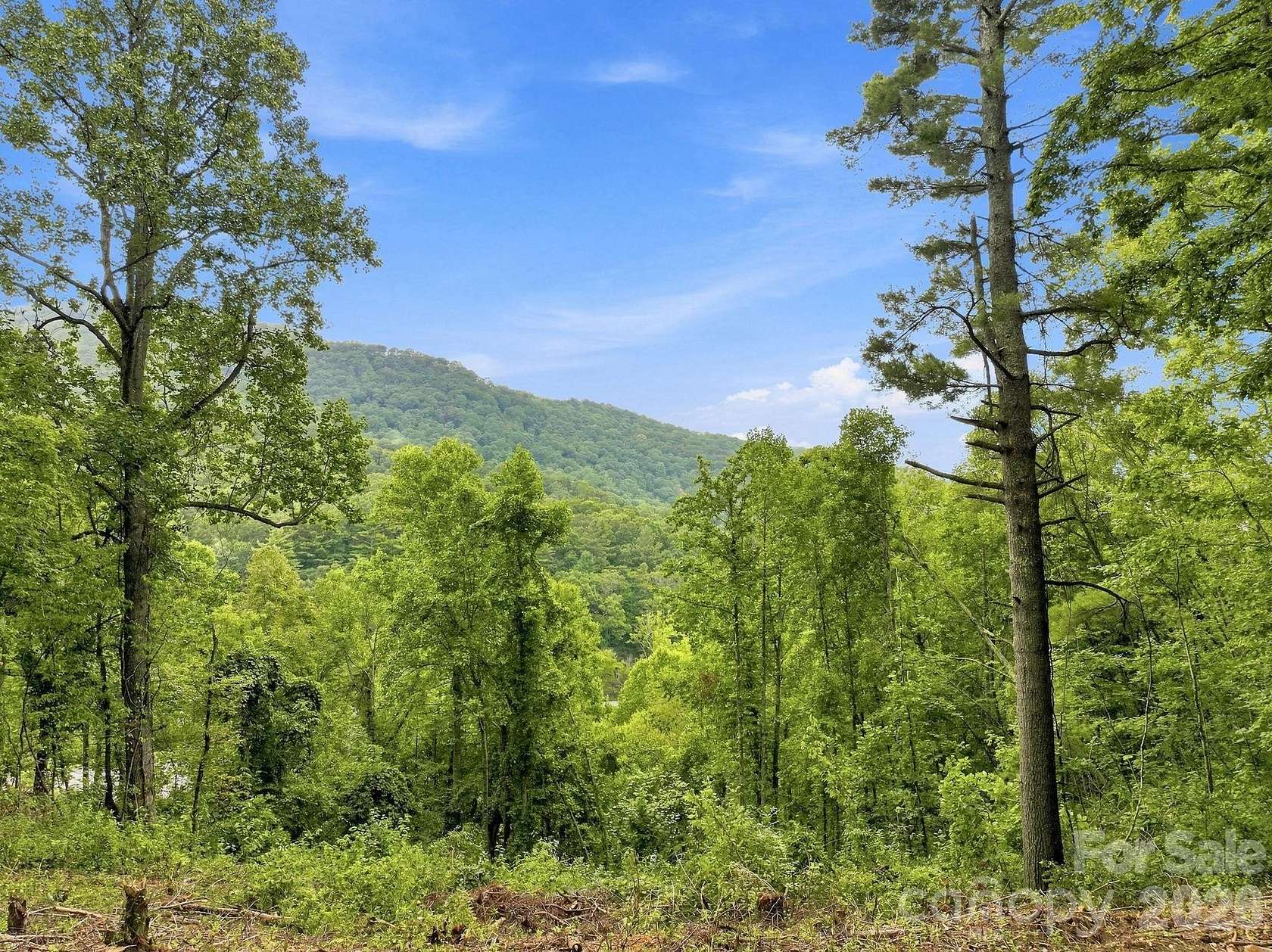1 Acre of Residential Land for Sale in Gerton, North Carolina