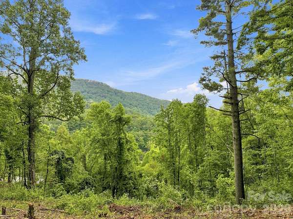 1 Acre of Residential Land for Sale in Gerton, North Carolina