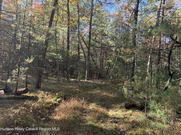 81.4 Acres of Recreational & Residential Land for Sale in Hurley, New York