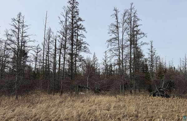 10 Acres of Land for Sale in Meadowlands, Minnesota