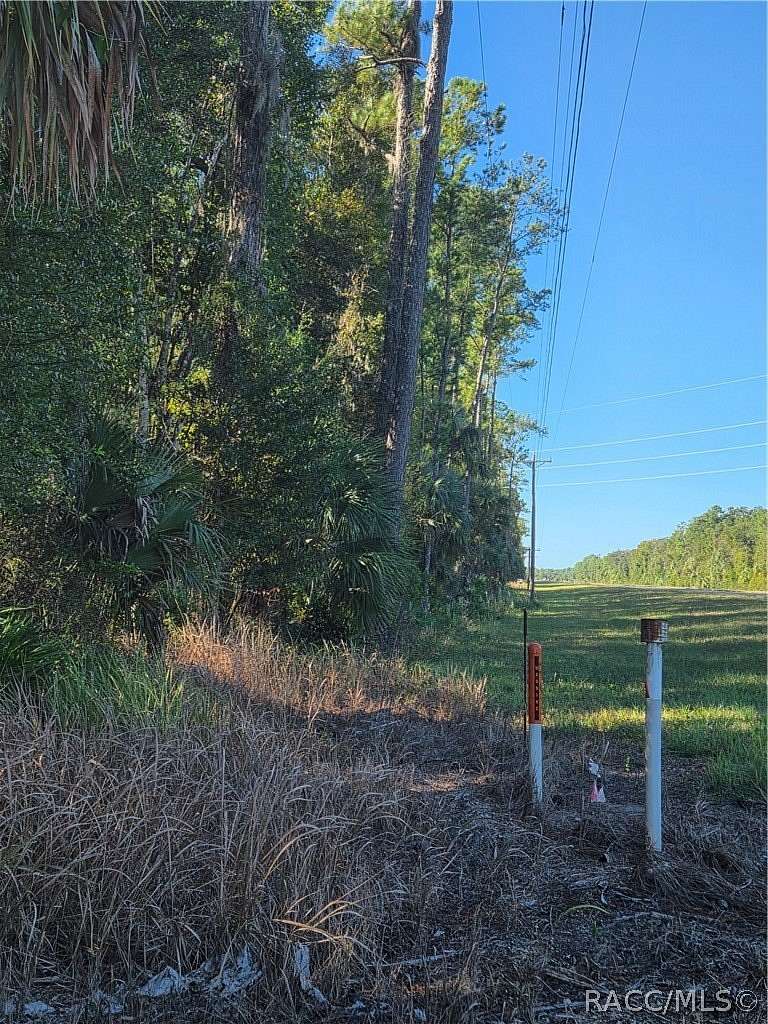 10.7 Acres of Land for Sale in Inglis, Florida