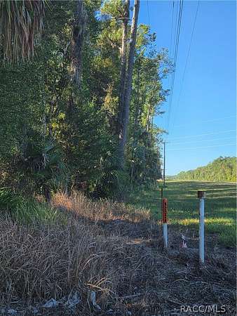 10.7 Acres of Land for Sale in Inglis, Florida