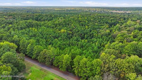 44.5 Acres of Recreational Land for Sale in Clinton, Mississippi