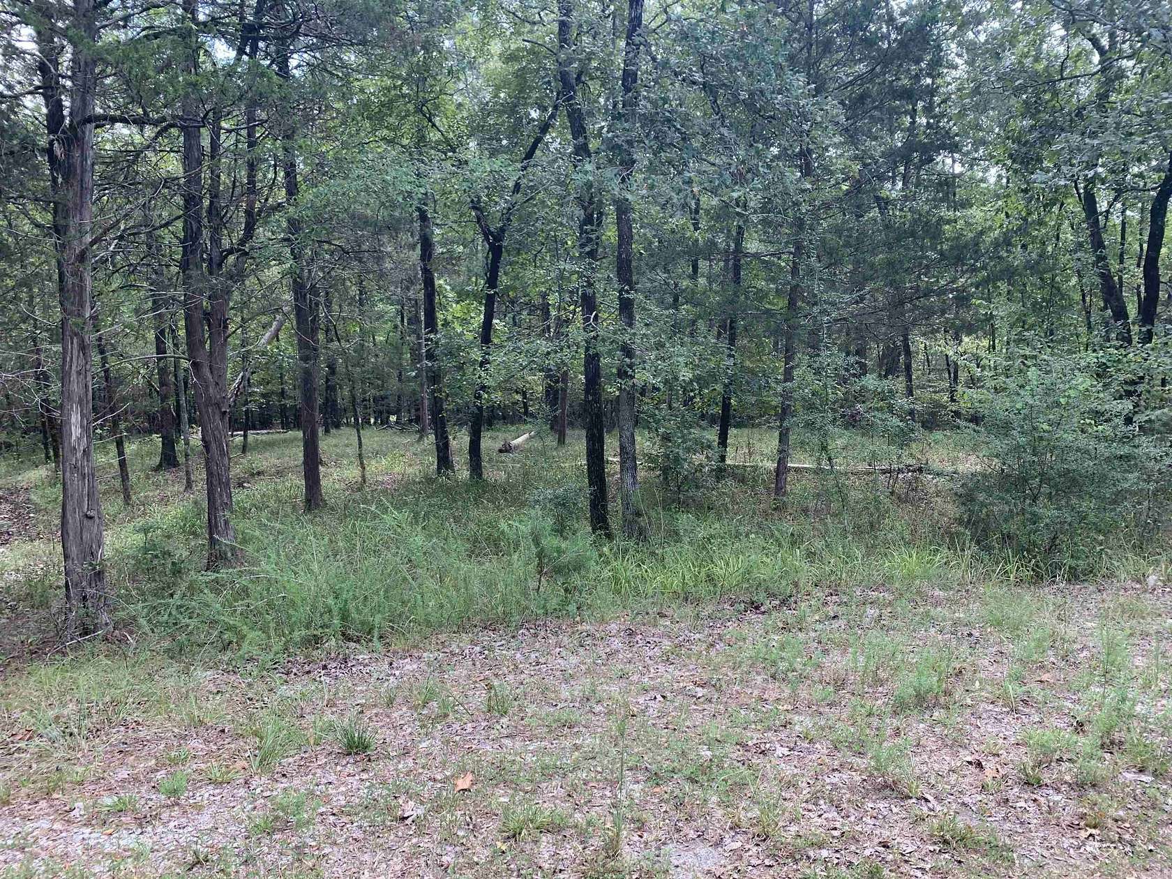 0.29 Acres of Residential Land for Sale in Hot Springs Village, Arkansas