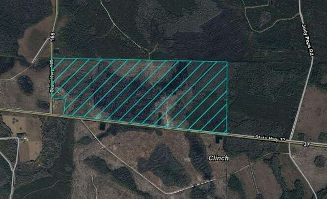 225 Acres of Land for Sale in Du Pont, Georgia