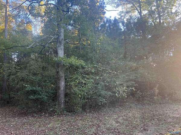 0.49 Acres of Land for Sale in Centre, Alabama