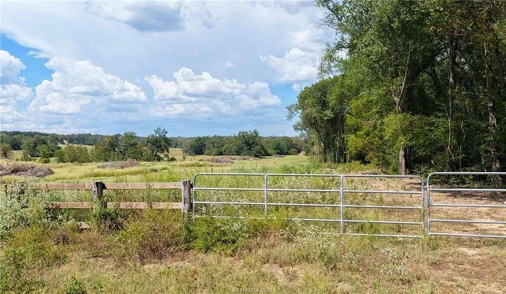 30.5 Acres of Recreational Land for Sale in Caldwell, Texas