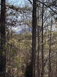 2 Acres of Residential Land for Sale in Murphy, North Carolina
