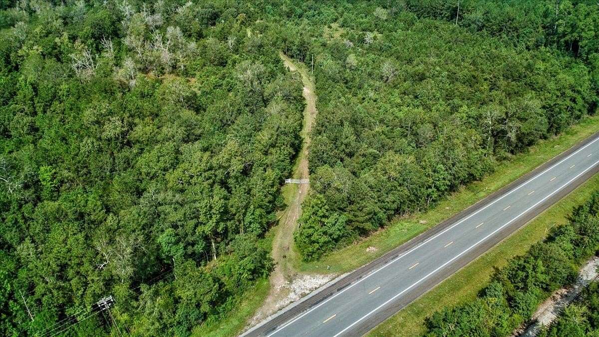 80 Acres of Recreational & Residential Land for Sale in Buna, Texas