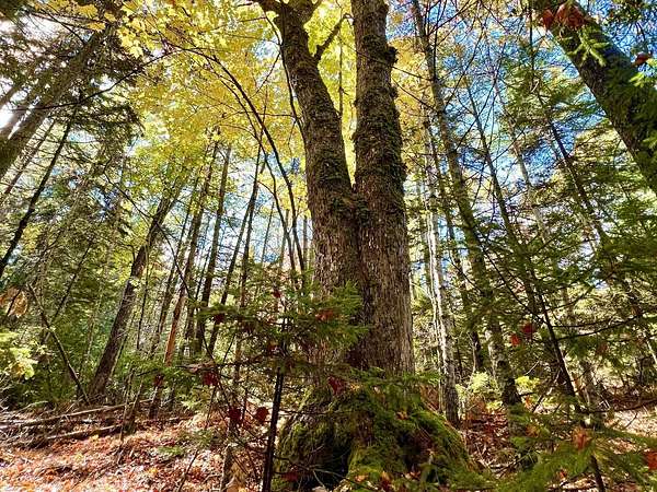 4.9 Acres of Residential Land for Sale in South Bristol, Maine