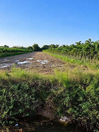 10 Acres of Agricultural Land for Sale in Homestead, Florida