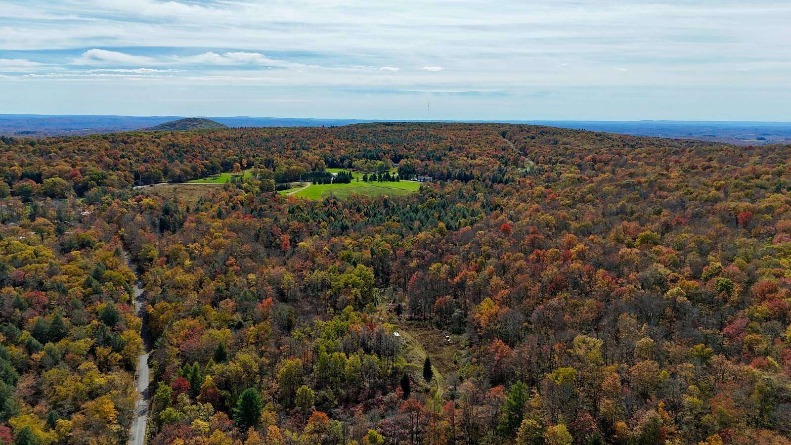 64.9 Acres of Recreational & Residential Land for Sale in Livingston Manor, New York