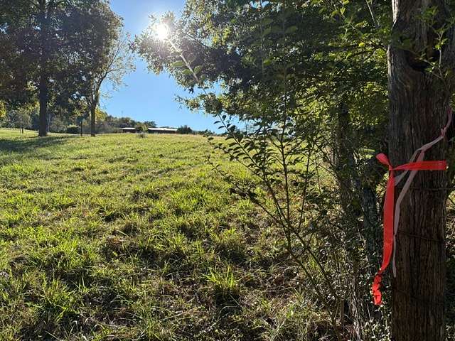 1.7 Acres of Residential Land for Sale in Georgetown, Tennessee