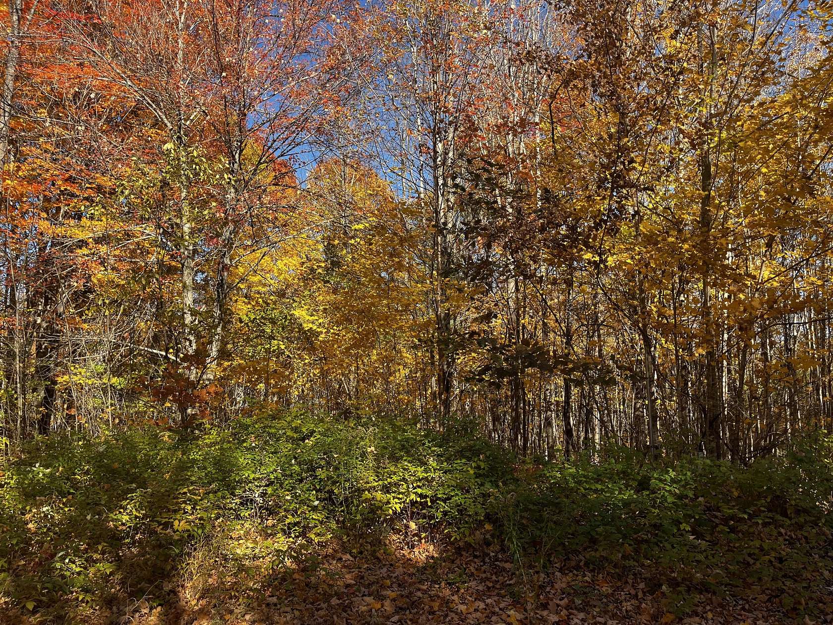 11 Acres of Land for Sale in Dover-Foxcroft, Maine