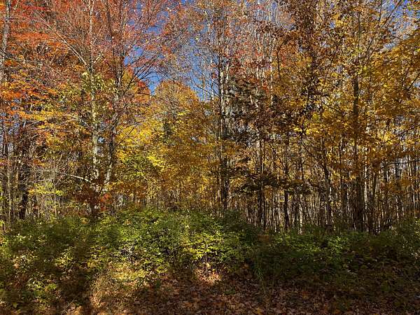 11 Acres of Land for Sale in Dover-Foxcroft, Maine