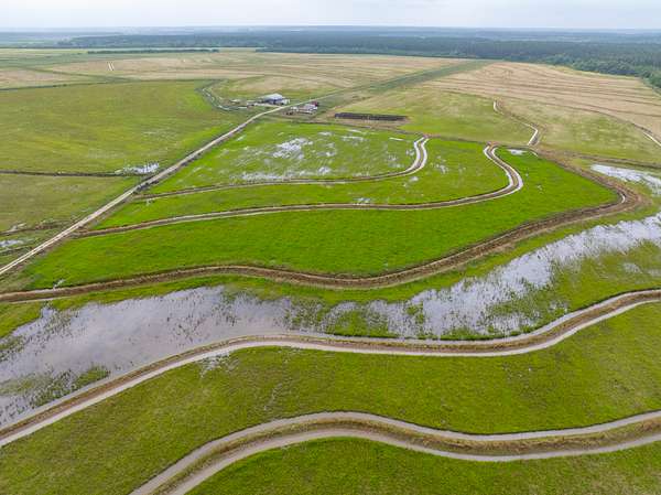 360 Acres of Land for Sale in Kinder, Louisiana