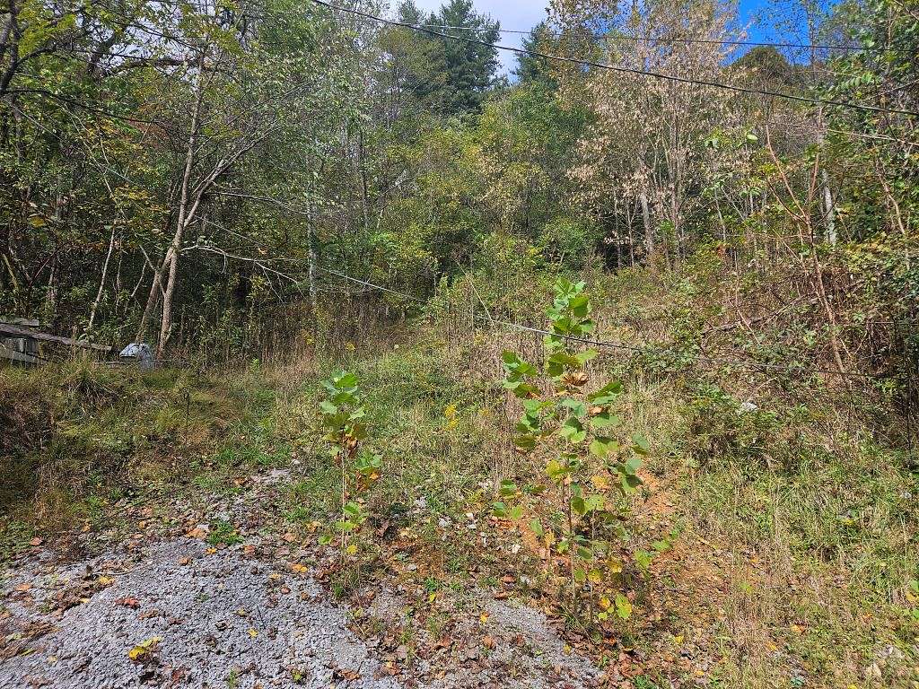 17 Acres of Land for Sale in Pennington Gap, Virginia