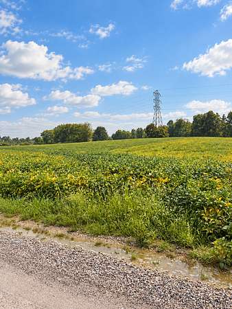 25.4 Acres of Land for Sale in Kimbolton, Ohio